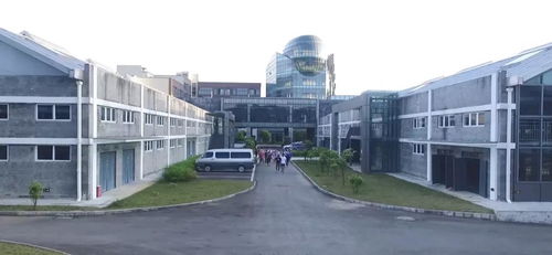 創(chuàng)園國(guó)際執(zhí)行總裁杜樹萍 不忘初心 方得始終